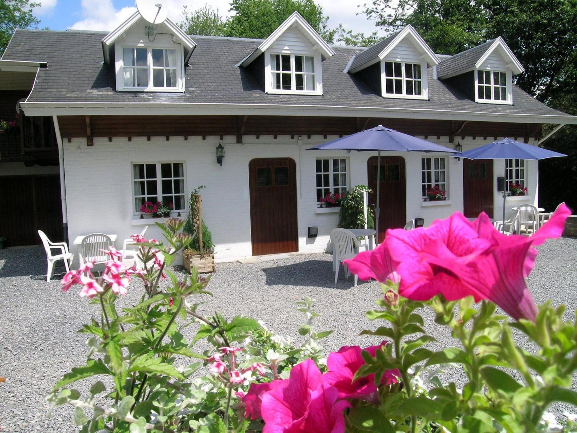 Gorgeous Apartment In Bohon With Garden Furniture And Bbq Barvaux-sur-Ourthe Bagian luar foto