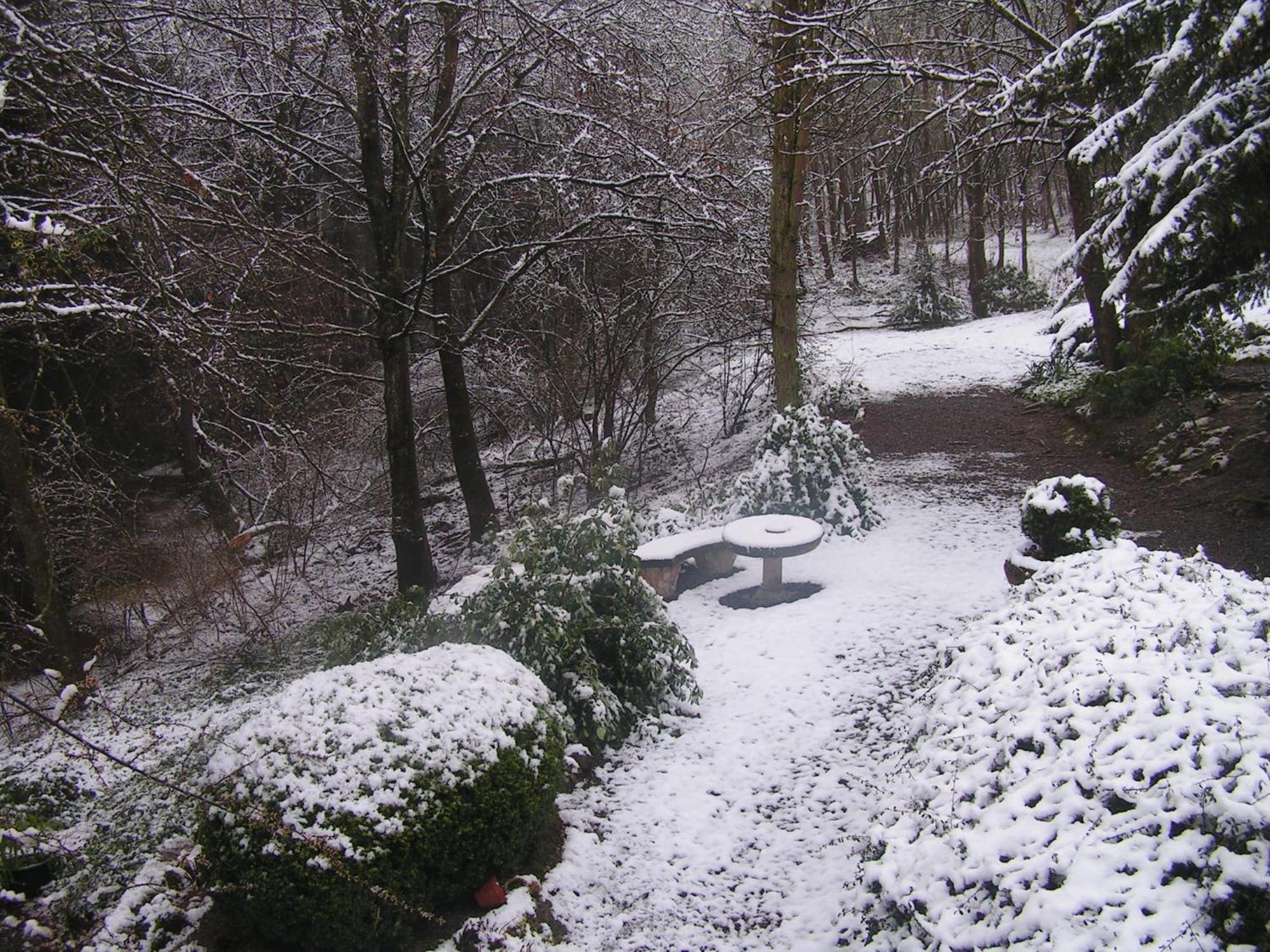 Gorgeous Apartment In Bohon With Garden Furniture And Bbq Barvaux-sur-Ourthe Bagian luar foto